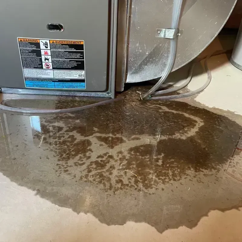 Appliance Leak Cleanup in Inverness, IL